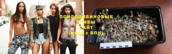 дурь Волосово