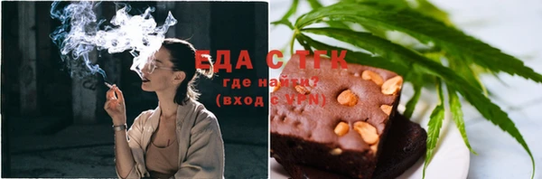 spice Дмитриев